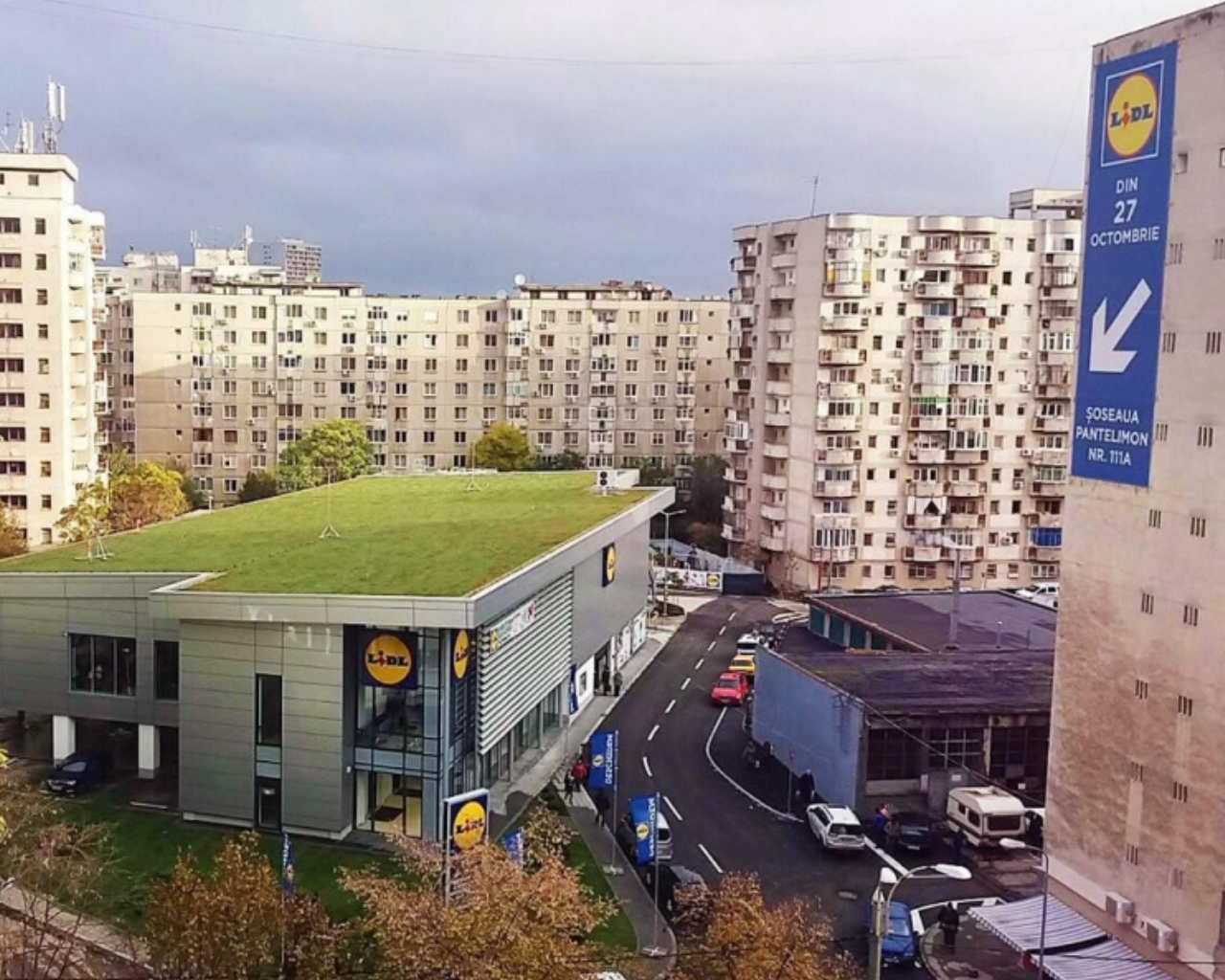 Lidl Pantelimon