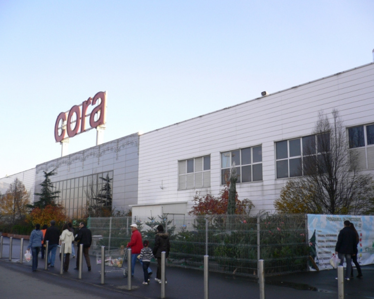 cora